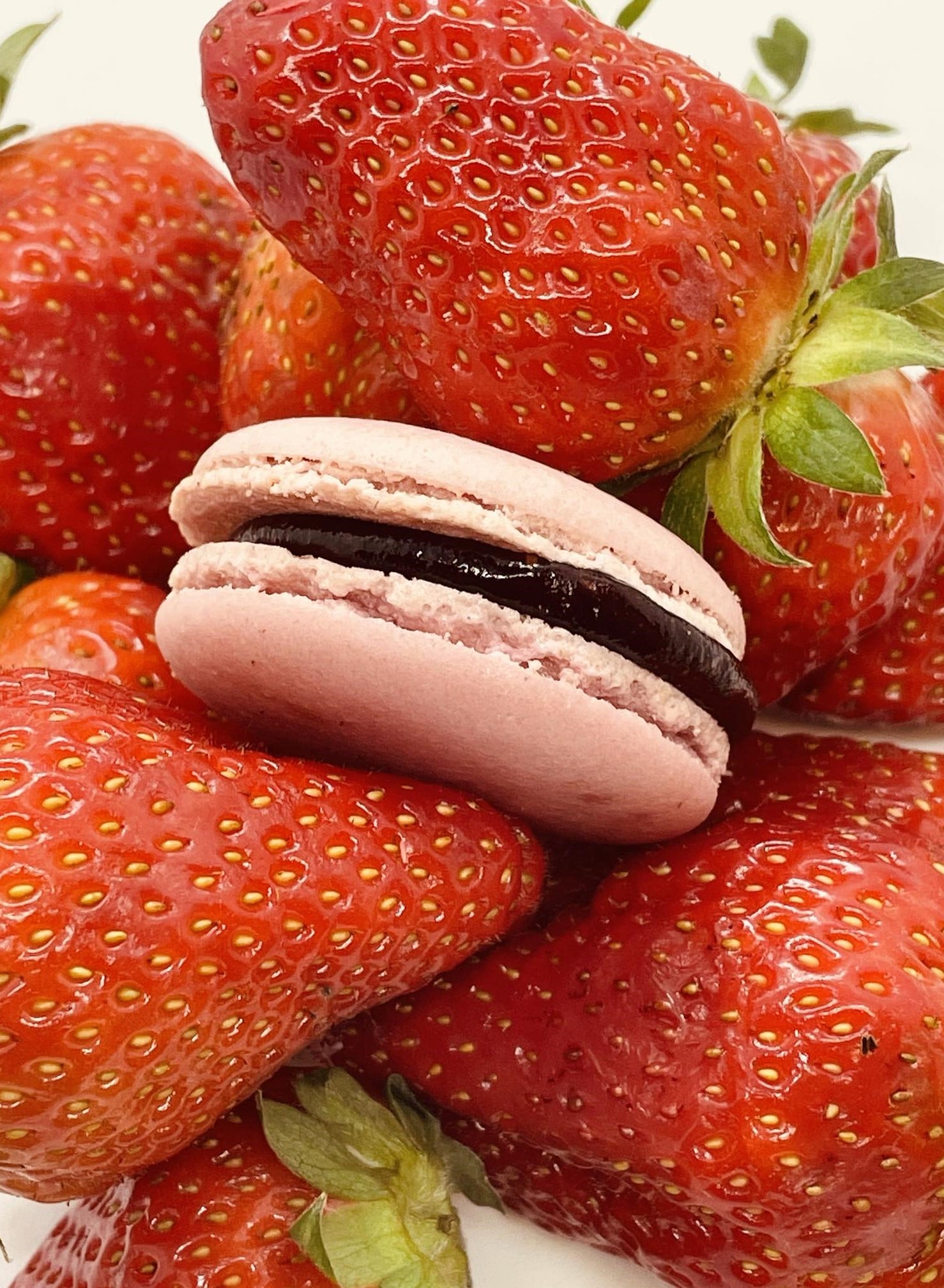 Macaron fraise