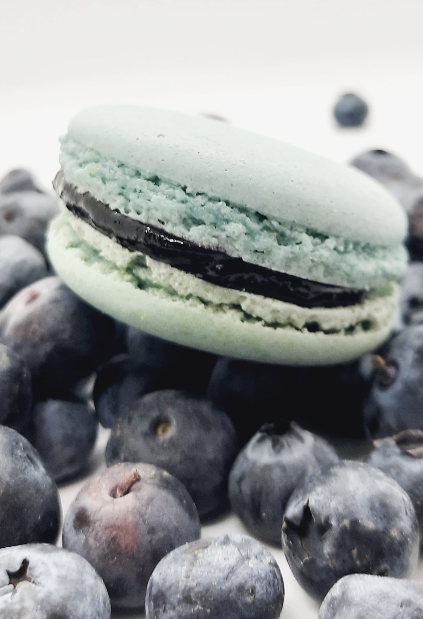 Macaron Myrtille