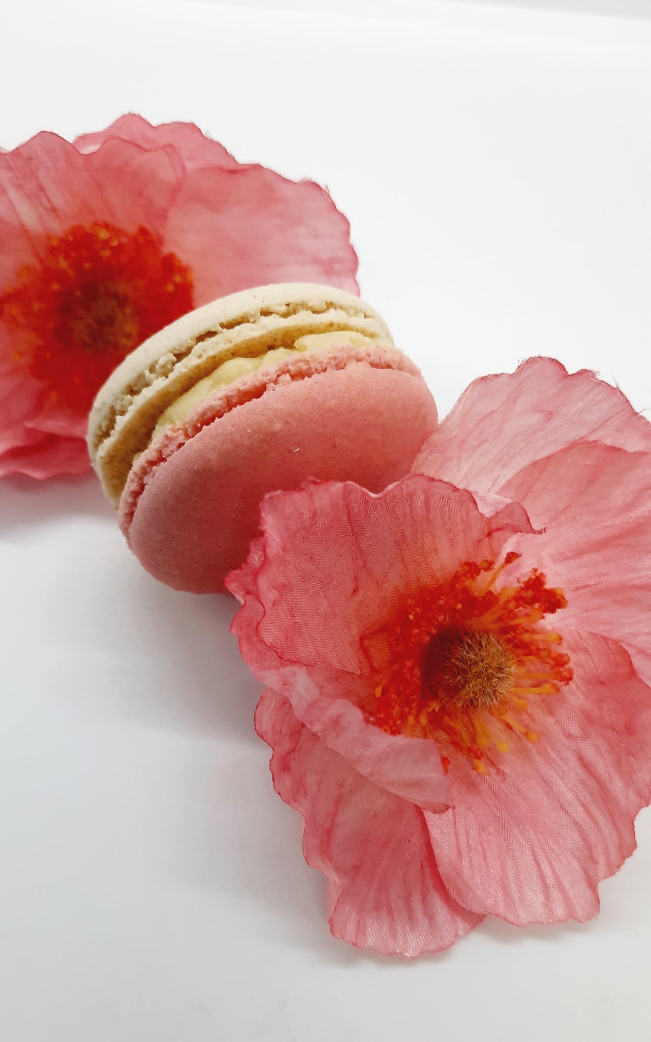 Macaron Coquelicot